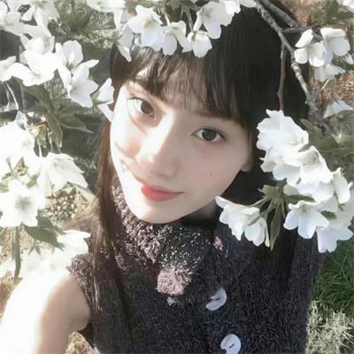 苹果